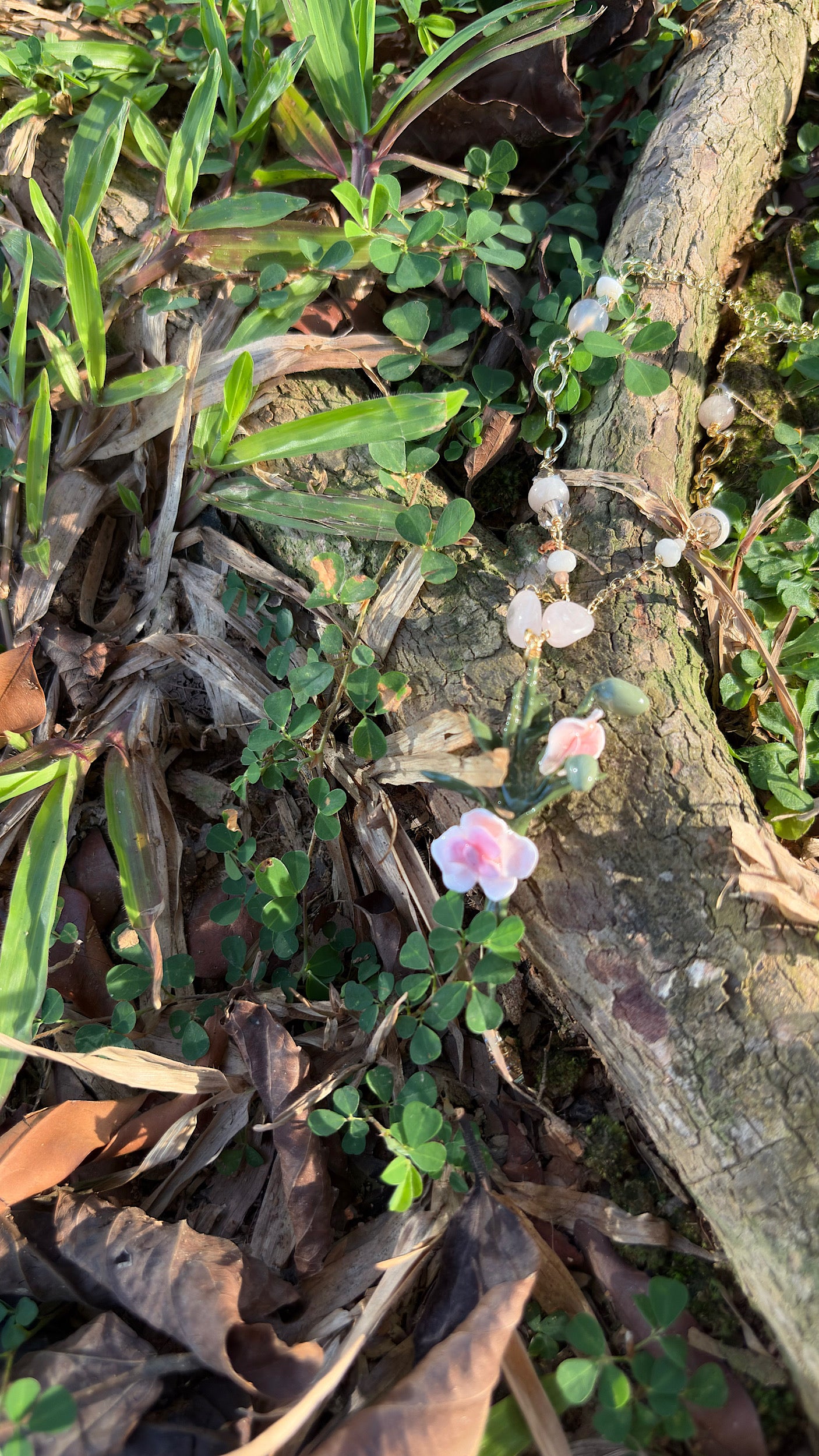 Orchid Stalks