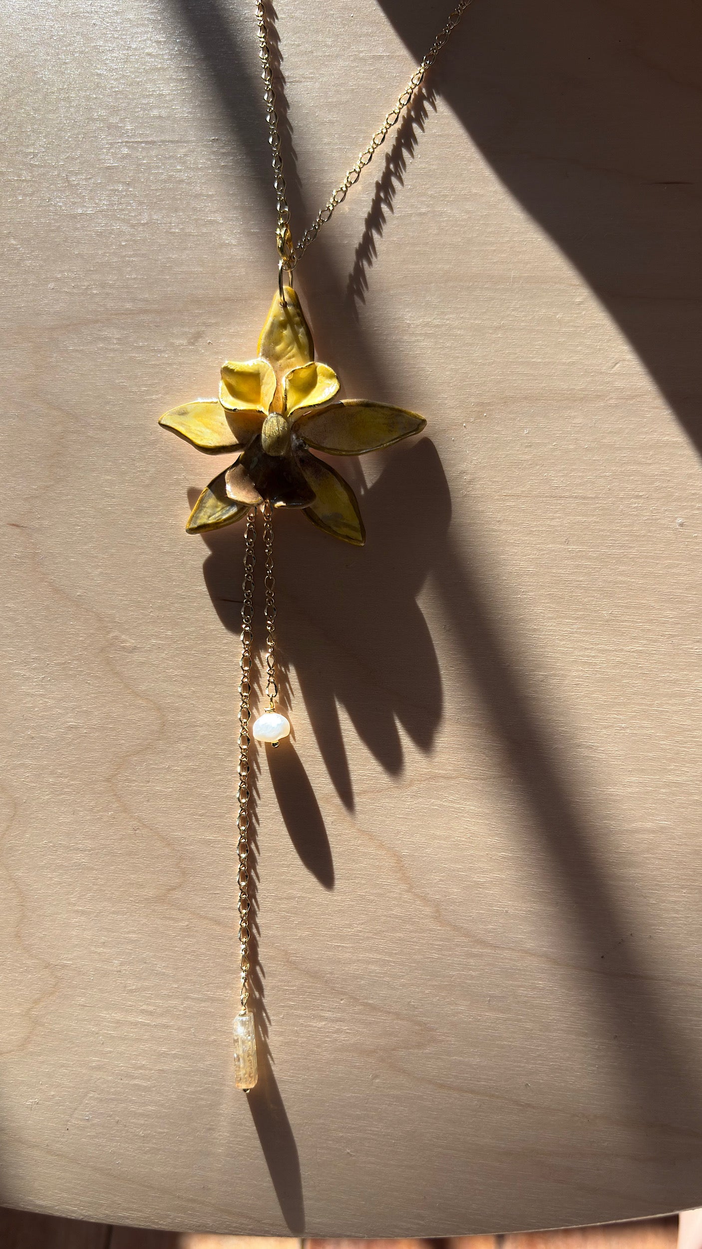 Jumbo Orchistar