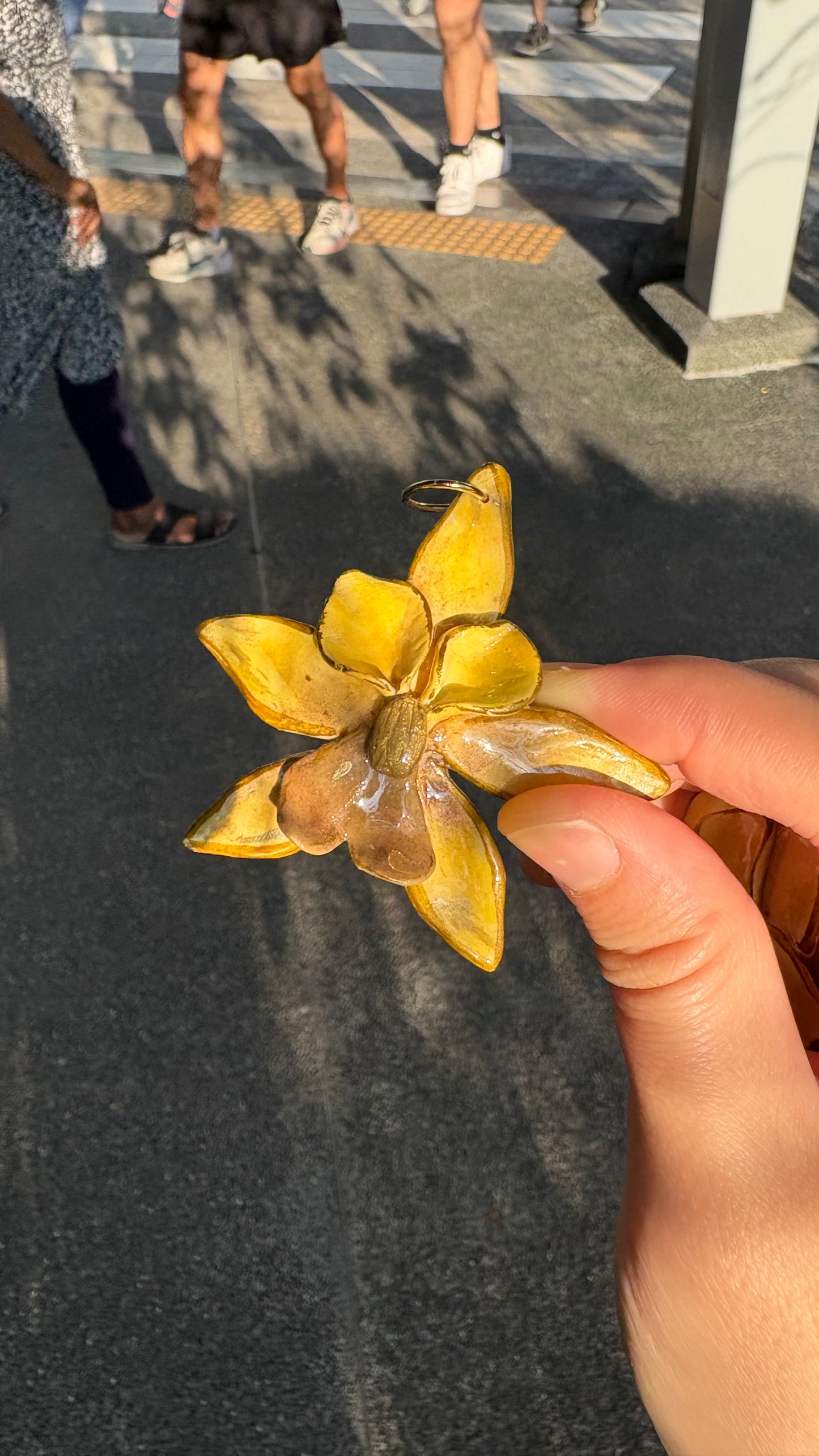 Jumbo Orchistar