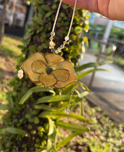 Jumbo Orchiflower